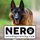 Nero Dog Training