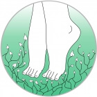 Tiptoe We Grow
